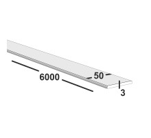 Полоса металлическая 50х3