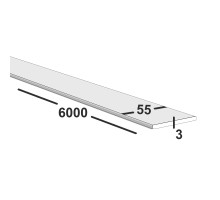 Полоса металлическая 55х3