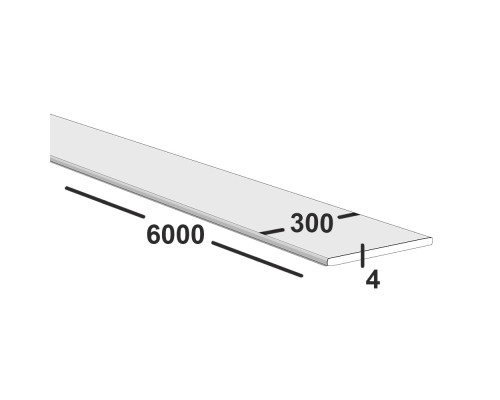 Полоса металлическая 300х4