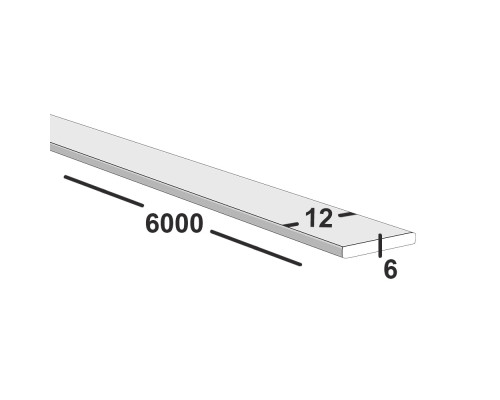 Полоса металлическая 12х6