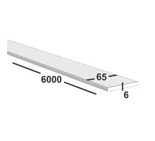 Полоса металлическая 65х6