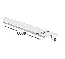 Полоса металлическая 75х10