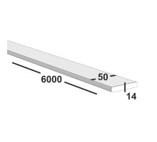 Полоса металлическая 50х14