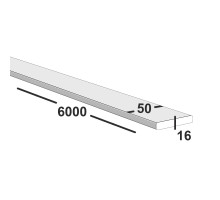 Полоса металлическая 50х16