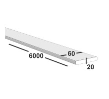 Полоса металлическая 60х20