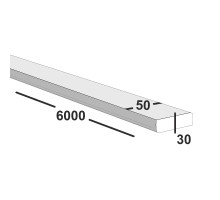 Полоса металлическая 50х30