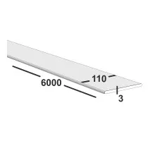 Полоса металлическая 110х3