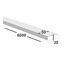 Полоса металлическая 50х30